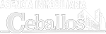 CEBALLOS INMOBILIARIA